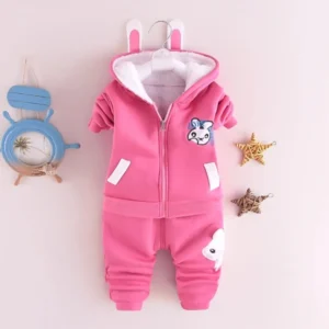 Pink Bunny Baby Hoodie Set.